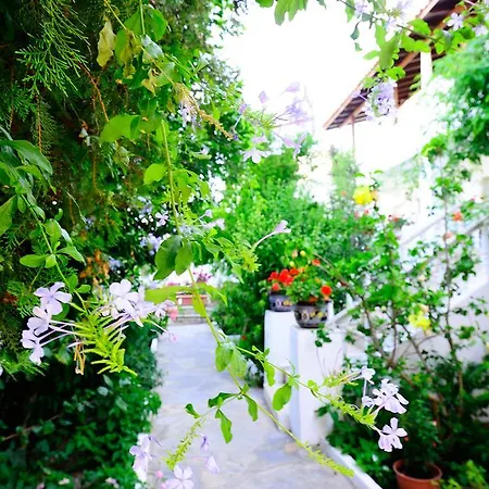 Maritim بيت ضيافة