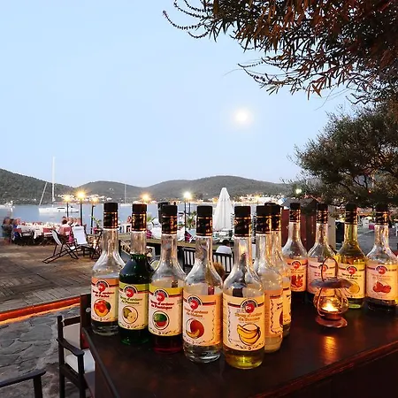 بيت ضيافة Maritim *