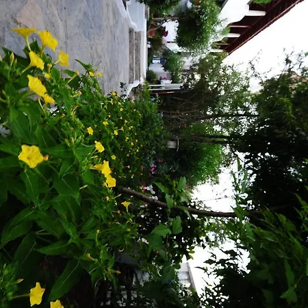 Maritim Göltürkbükü