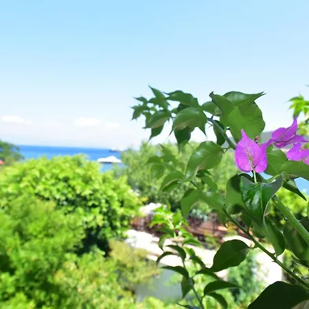 Konukevi Maritim