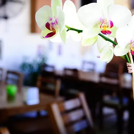 Maritim * Göltürkbükü