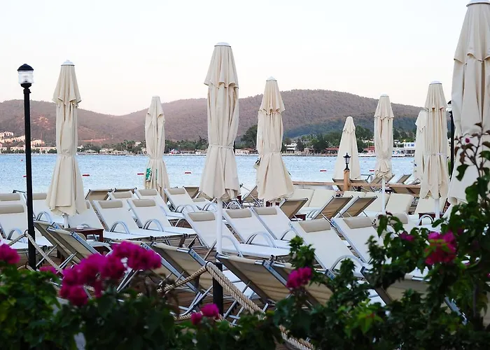 Maison d'hôtes Maritim