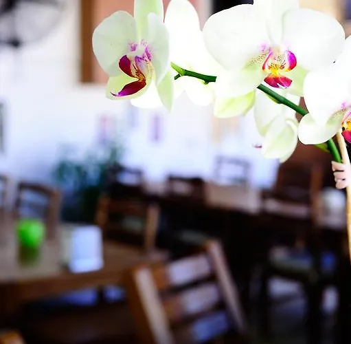 Maritim * Türkbükü